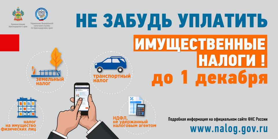 Что входит в имущество физических лиц