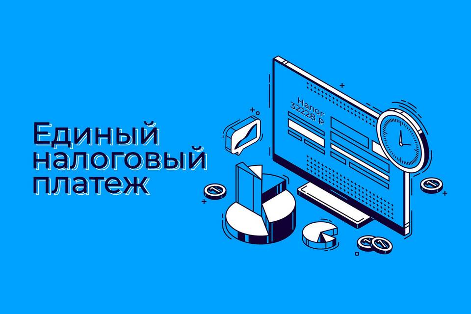 ЕНС для ИП: что это такое в налоговой системе