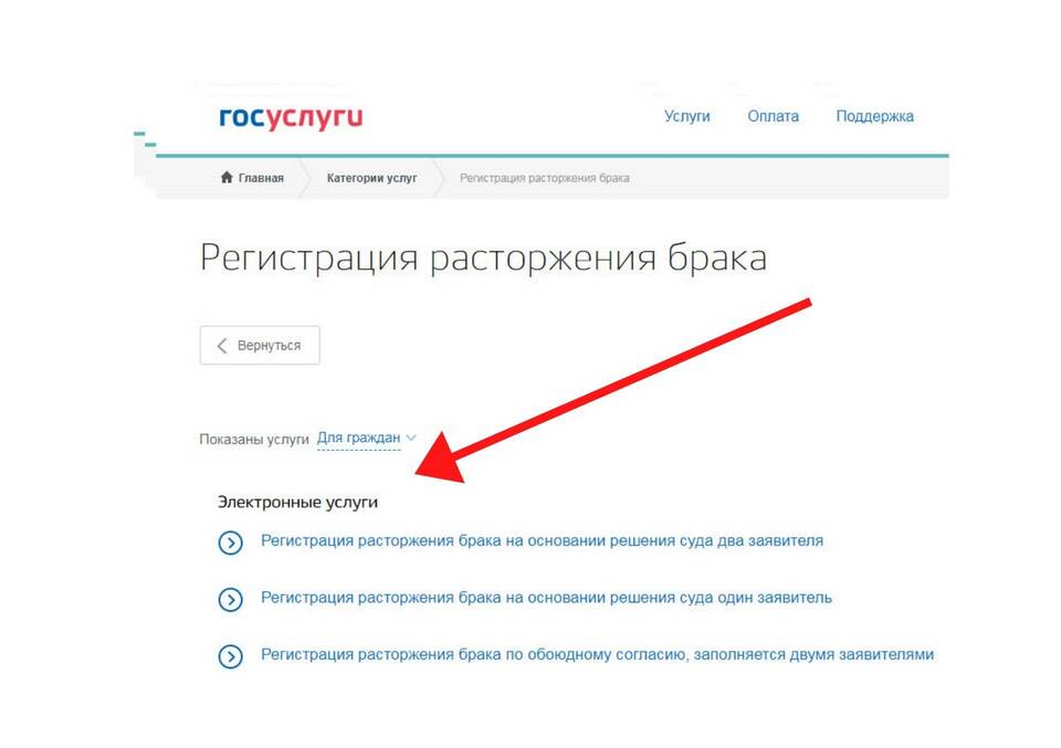 Как подать на алименты через Госуслуги