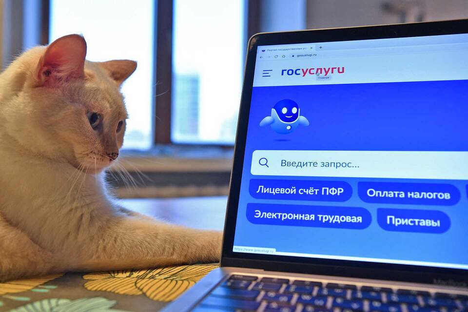 Как заказать выписку на дом через Госуслуги