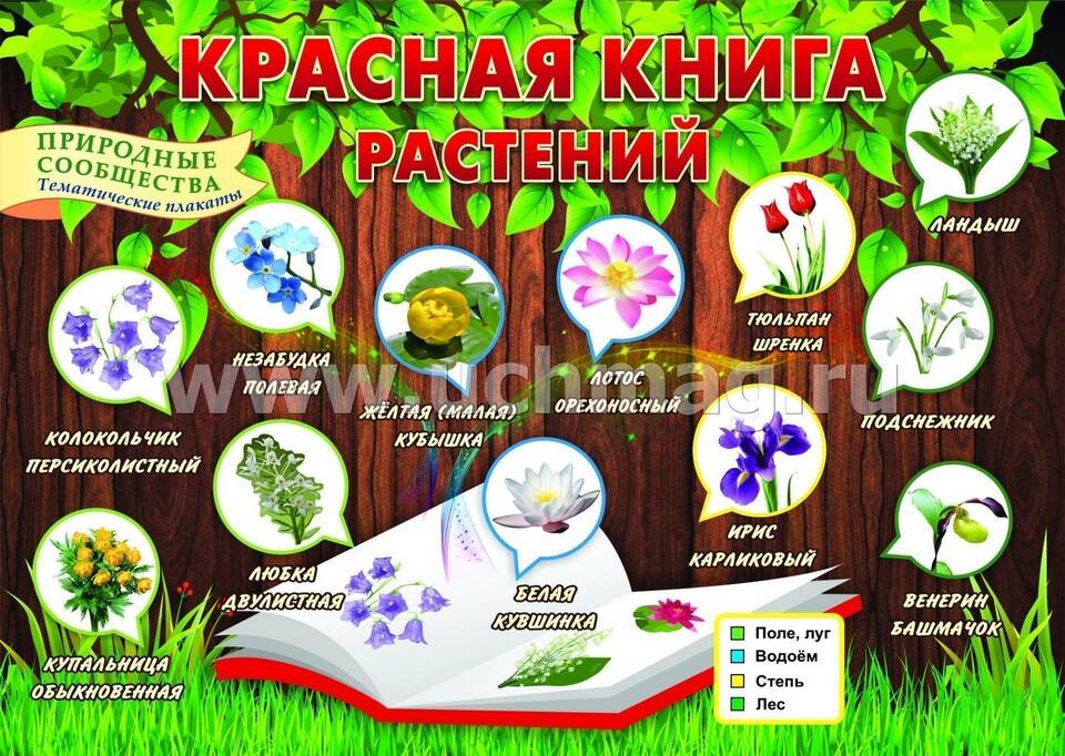 Почему отключают Кубышку