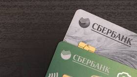 Что можно оплачивать СберБизнес картой в Благо