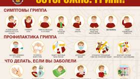 Что такое патронаж в МФЦ в Благо