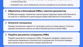 Как оформить покупку земельного участка через МФЦ в Благо