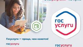 Как оформить ТСР через портал Госуслуги в Благо
