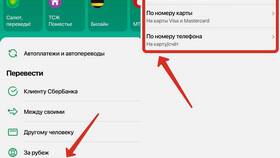 Как перевести деньги на карту МИР в Благо