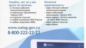 Как подать декларацию через приложение