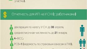 Как подавать отчетность ИП: полное руководство в Благо