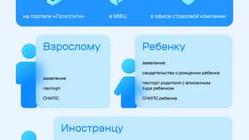Как получить новый страховой полис: пошаговая инструкция в Благо