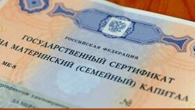 Как получить сертификат на материнский капитал через Госуслуги в Благо