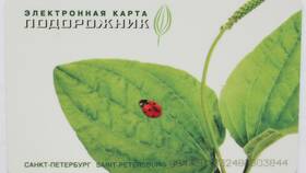 Как пополнить карту Подорожник в Благо
