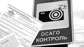 Как проверить наличие полиса ОСАГО бесплатно в Благо