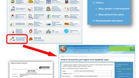 Как рассчитать государственную пошлину в Благо