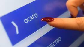 Как воспользоваться ОСАГО: пошаговая инструкция в Благо