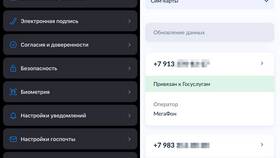 Как временно отключить номер МТС в Благо