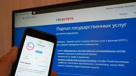 Как заказать справку ГИБДД через Госуслуги в Благо