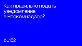 Как заполнить заявление в Роскомнадзор самозанятому в Благо