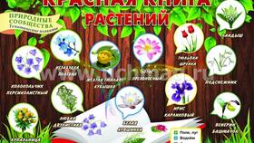 Почему отключают Кубышку в Благо