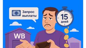 Причины задержек доставки Wildberries в Благо