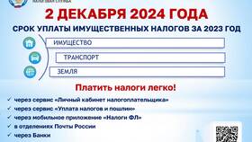 Сроки поступления платежей через Госуслуги в Благо