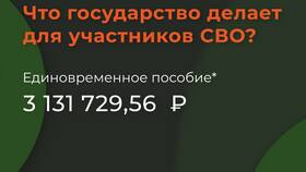 Страховые выплаты участнику СВО: чем регламентируются в Благо