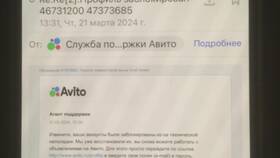 Зачем берут аккаунт Авито в аренду в Благо