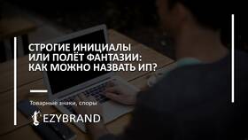 Зачем продают ИП в Благо